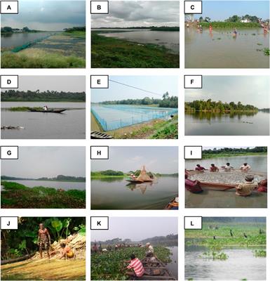 Assessment of the physicochemical properties of the sediment from the Gangetic floodplain wetlands of West Bengal, India, with GIS and a statistical approach